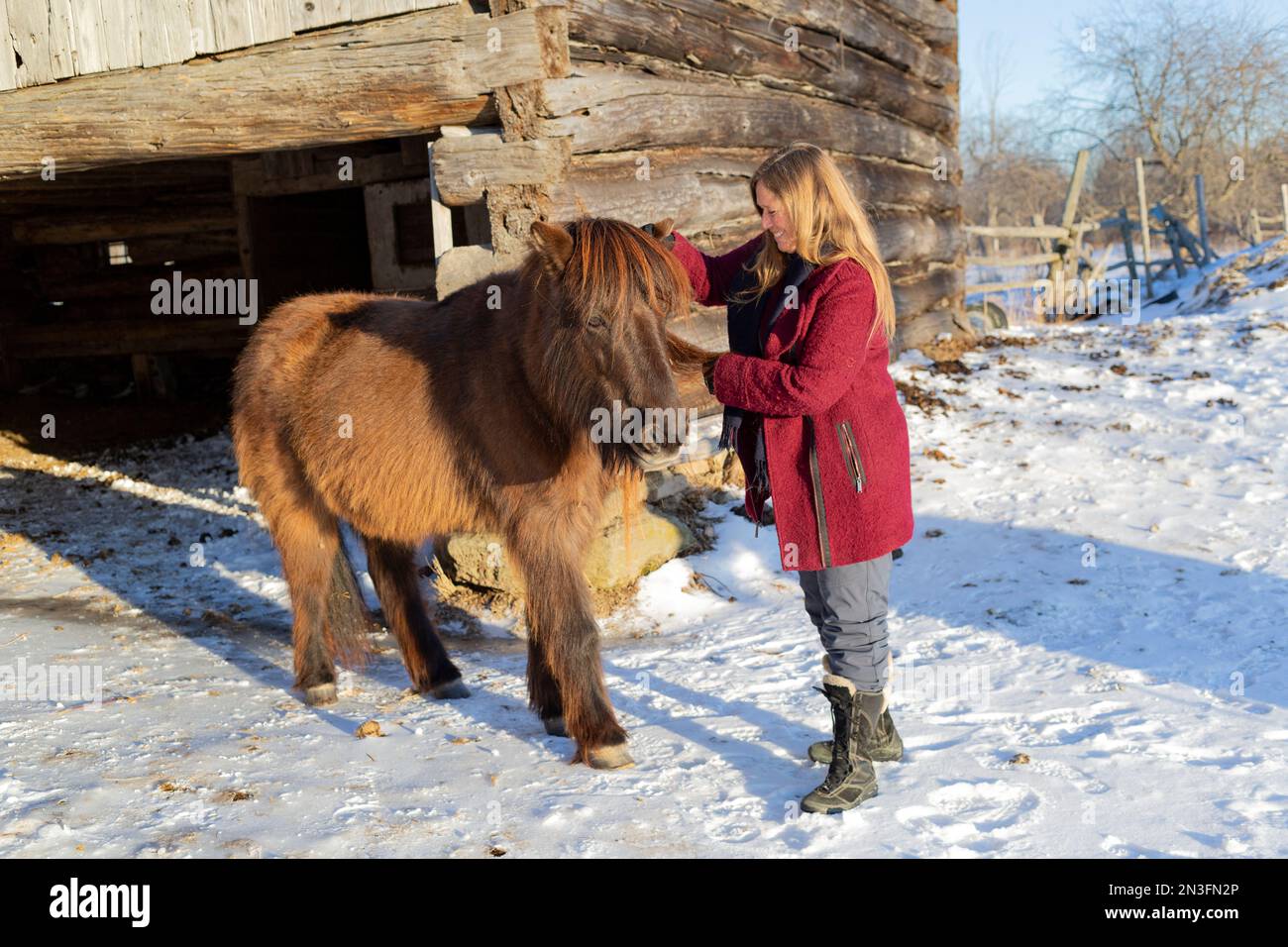 Reife Frau posiert im Winter mit einem Pferd auf einer Farm; Ottawa Valley, Ontario, Kanada Stockfoto