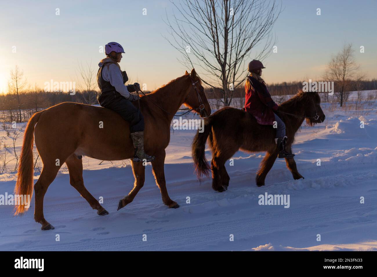 Mutter und Tochter reiten im Winter gemeinsam auf einer freigelegten Landstraße; Ottawa Valley, Ontario, Kanada Stockfoto