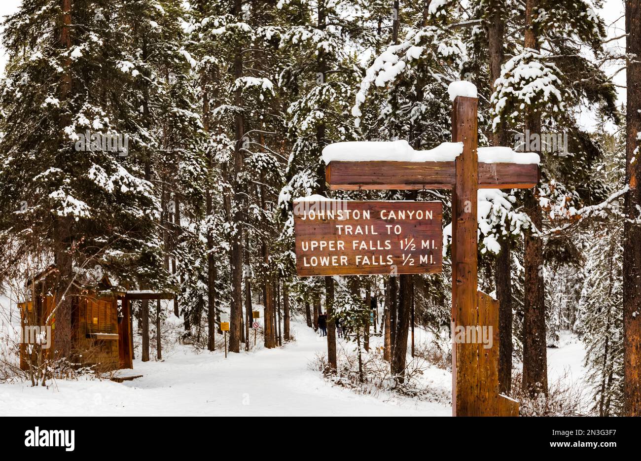 Im Winter im Banff National Park, Alberta, Kanada, können Sie sich auf den Wanderweg im Johnson Canyon begeben Stockfoto
