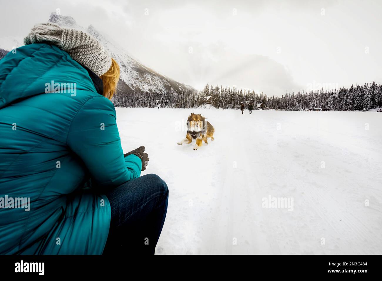 Eine Frau, die ihren Hund anruft, während sie im Winter im Yoho National Park über den gefrorenen Emerald Lake mit den Rocky Mountains im Hintergrund wandert Stockfoto