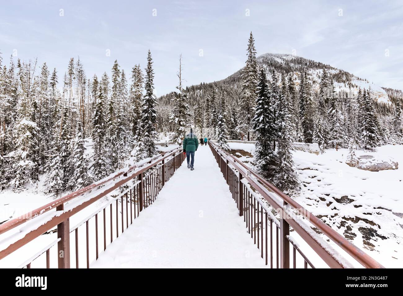 Drei Touristen überqueren im Winter die Fußgängerbrücke in der Nähe der Natural Bridge im Yoho National Park; British Columbia, Canad Stockfoto