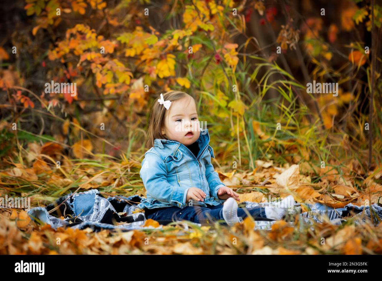 Außenporträt eines kleinen Mädchens mit Down-Syndrom, das im Herbstpark sitzt; St. Albert, Alberta, Kanada Stockfoto