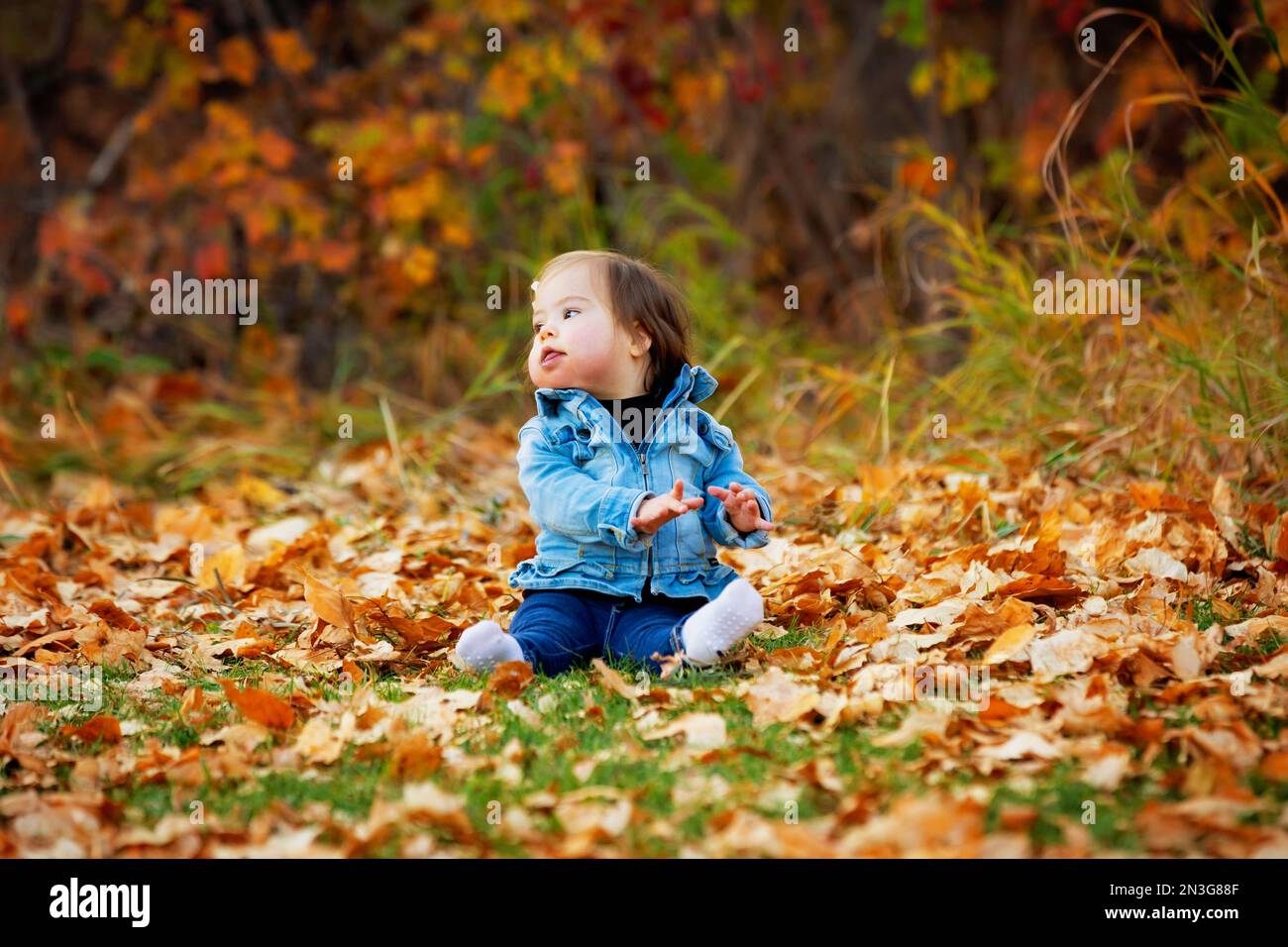 Porträt eines kleinen Mädchens mit Down-Syndrom, das in der Herbstsaison zwischen den gefallenen Blättern in einem Stadtpark auf dem Boden sitzt Stockfoto