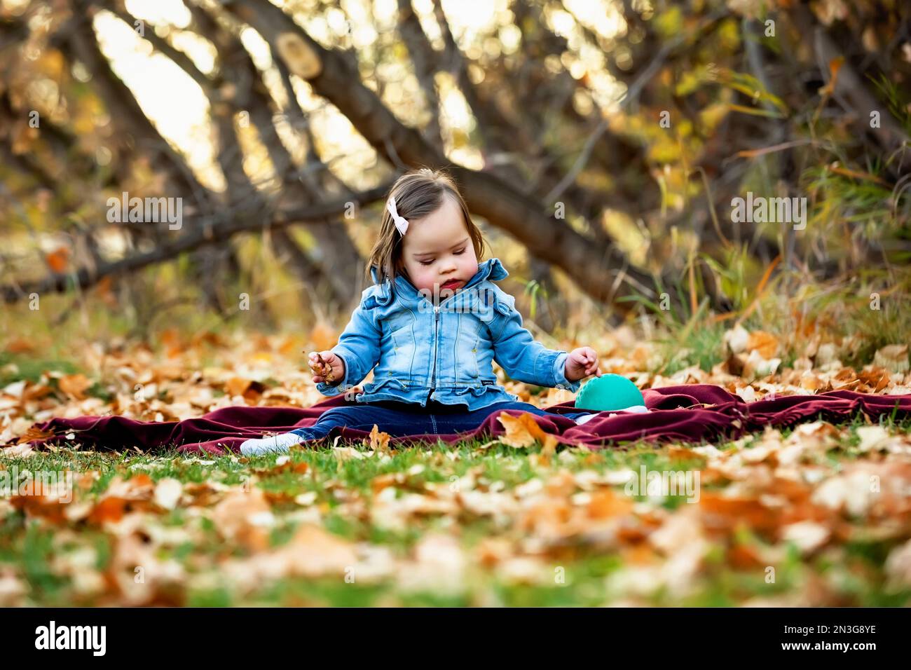 Porträt eines kleinen Mädchens mit Down-Syndrom, das in der Herbstsaison zwischen den gefallenen Blättern in einem Stadtpark auf dem Boden sitzt Stockfoto
