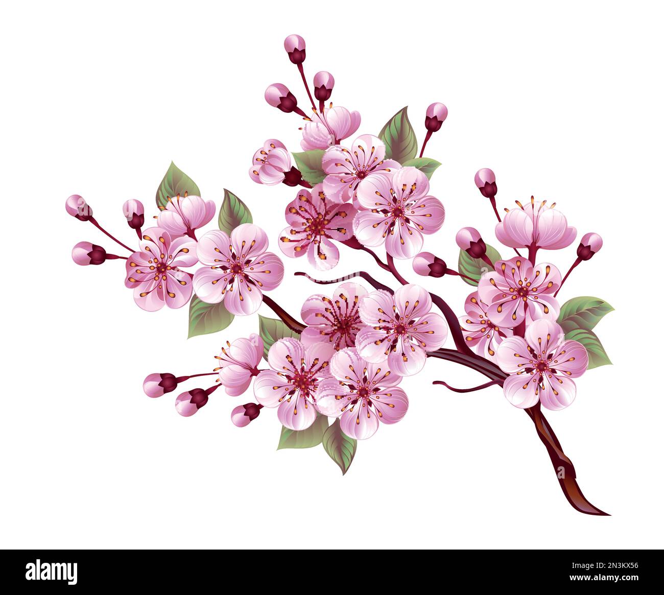 Künstlerisch gezeichnet, blühender Zweig aus rosafarbener japanischer Kirsche auf weißem Hintergrund. Rosa Sakura. Stock Vektor