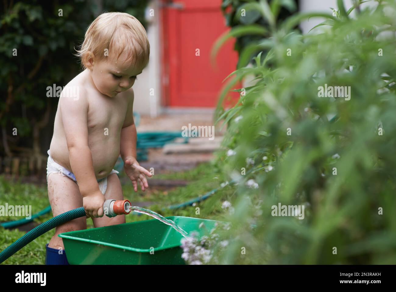 Babys großer Tag draußen. Ein Baby in Windel und Gummistiefeln, das Wasser in einen Behälter im Garten gießt. Stockfoto