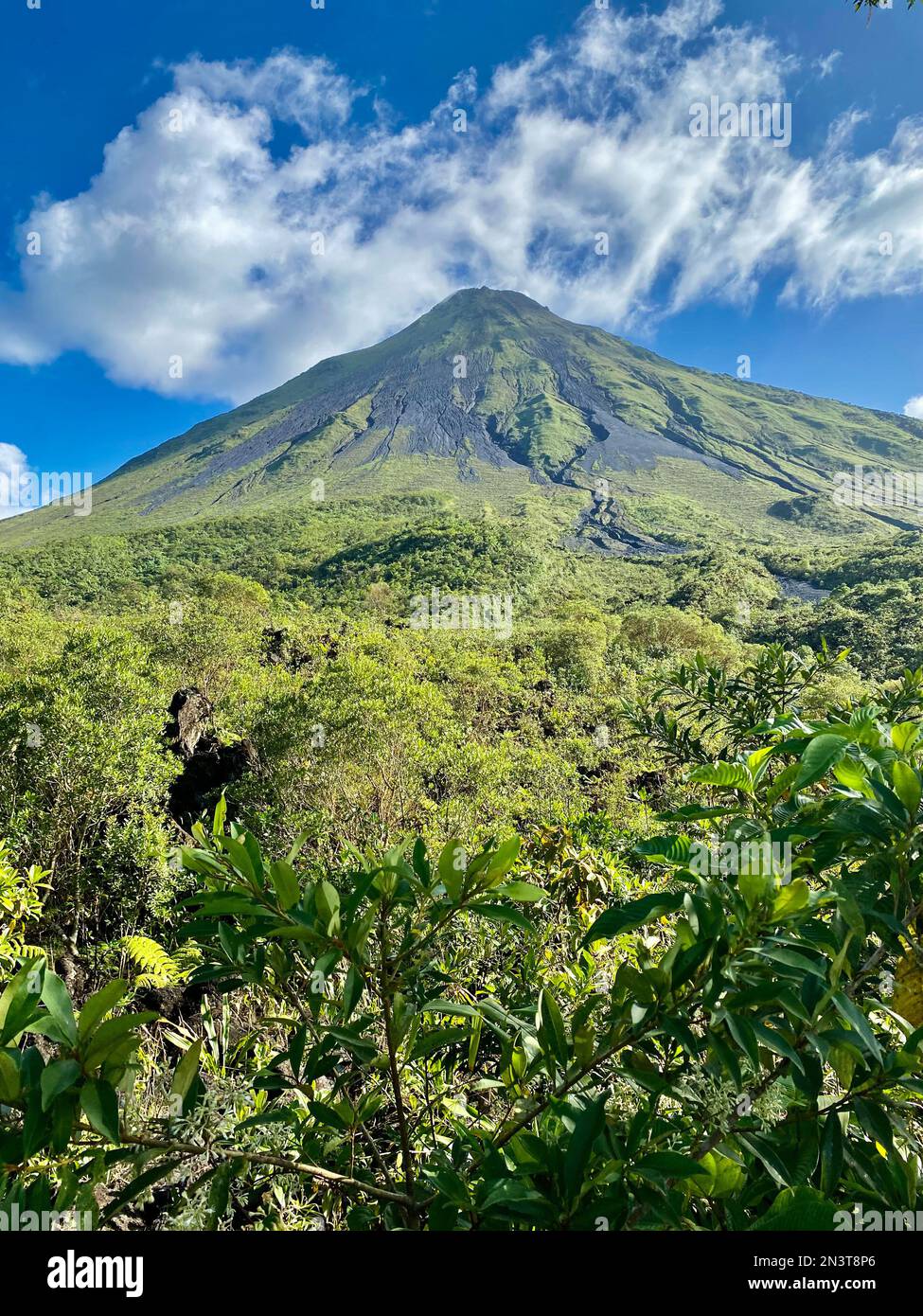 Ein Blick auf den Vulkan Arenal in der Nähe von La Fortuna Costa Rica an einem klaren Tag mit Lichtwolke am Gipfel Stockfoto