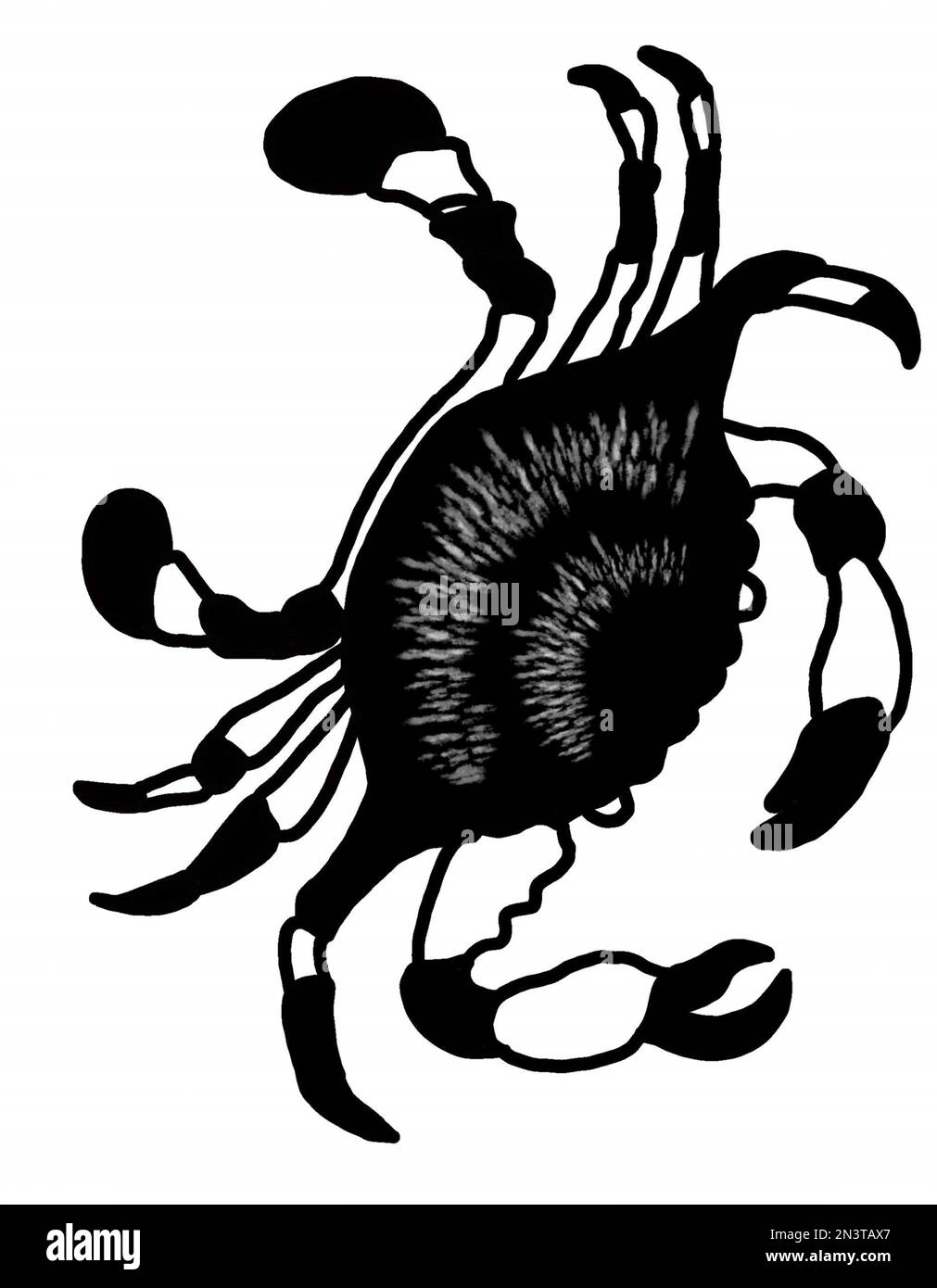 Seekrabben sitzen schwarz und grau mit weißen Sprenkelkrallen. JPEG-Darstellung der Unterwasserwelt für Stoffe, Textilien, Verpackungen, Geschenke, Karten, Bettwäsche. Stockfoto