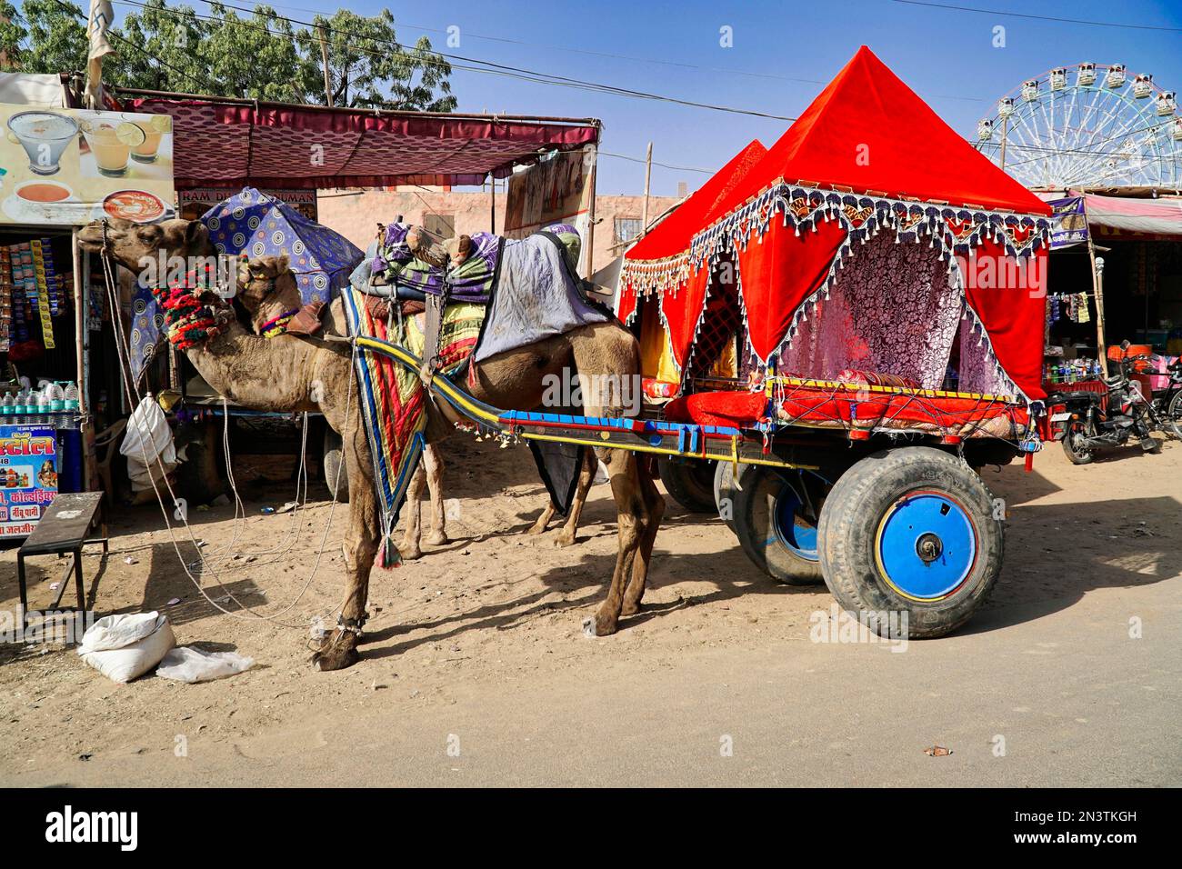 Kamelwagen, Kamelmarkt Pushkar, Rajasthan, Indien Stockfoto