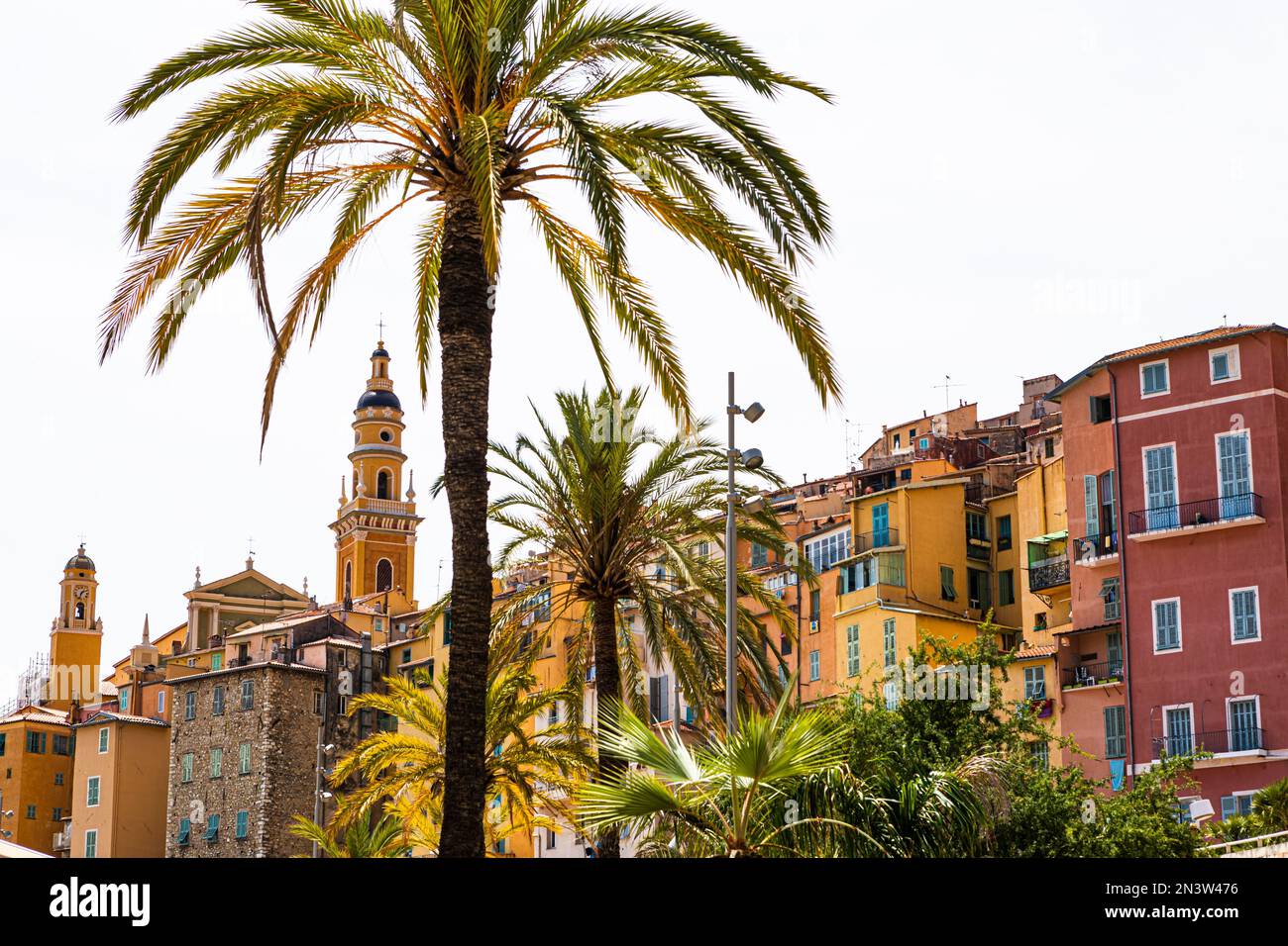 Palmen auf dem Boulevard in Menton, hinter der Basilika Saint Michael Archangel, Menton, Provence-Alpes-Cote dAzur, Südfrankreich Stockfoto