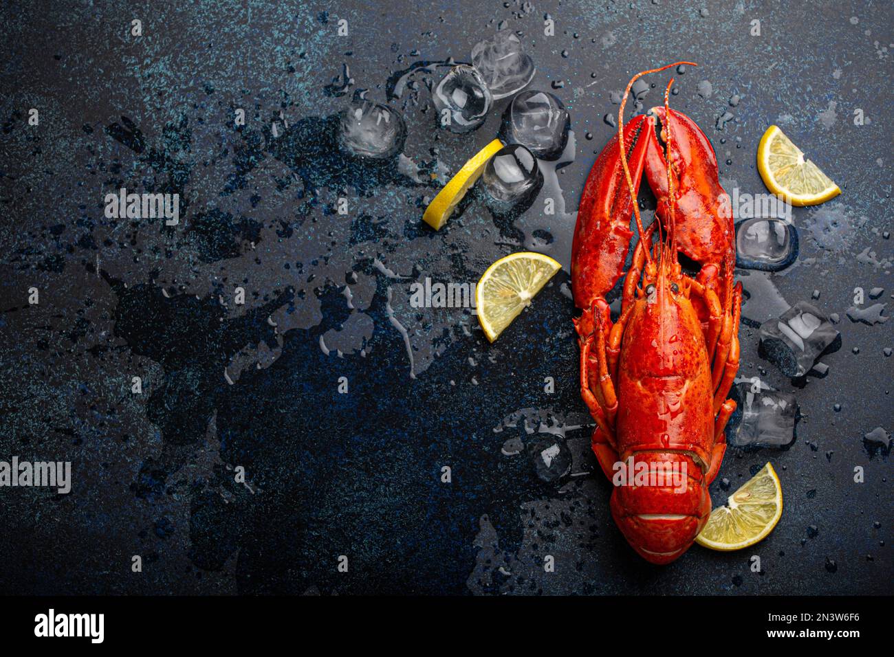 Gekochter, roter Hummer, fertig zum Essen serviert mit Zitronenschnitten und Eiswürfeln, Blick von oben flach auf blauem Betonsteinhintergrund, Meeresfrüchte Stockfoto