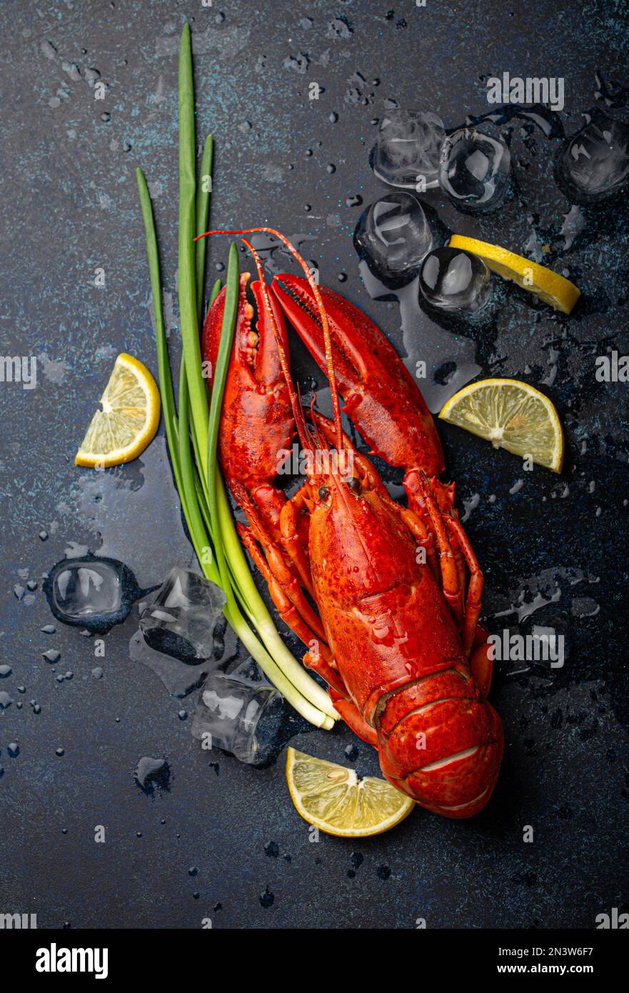 Gekochter, roter Hummer, fertig zum Essen serviert mit Zitronenschnitten und Eiswürfeln, Blick von oben flach auf blauem Betonsteinhintergrund, Meeresfrüchte Stockfoto