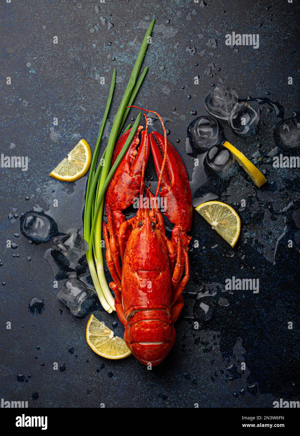 Gekochter, roter Hummer, fertig zum Essen serviert mit Zitronenschnitten und Eiswürfeln, Blick von oben flach auf blauem Betonsteinhintergrund, Meeresfrüchte Stockfoto