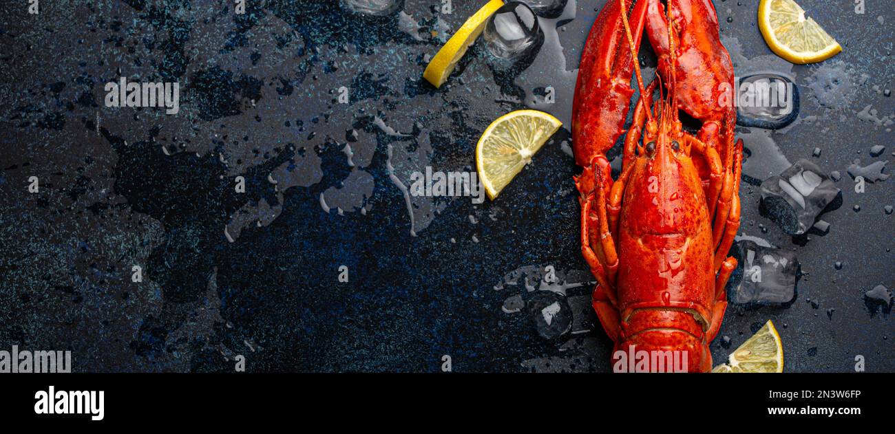 Gekochter, roter Hummer, fertig zum Essen serviert mit Zitronenschnitten und Eiswürfeln, Blick von oben flach auf blauem Betonsteinhintergrund, Meeresfrüchte Stockfoto