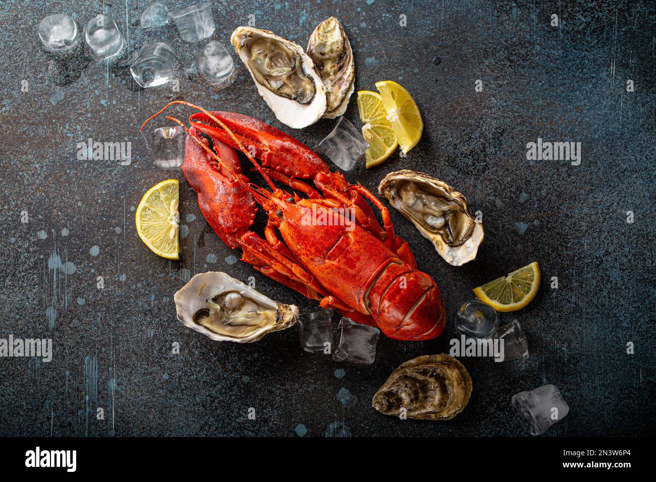 Gekochter, roter Hummer, fertig zum Essen, und frische, offene Austern serviert mit Zitronenschnitten und Eiswürfeln, Blick von oben flach auf blauem Betonstein Stockfoto