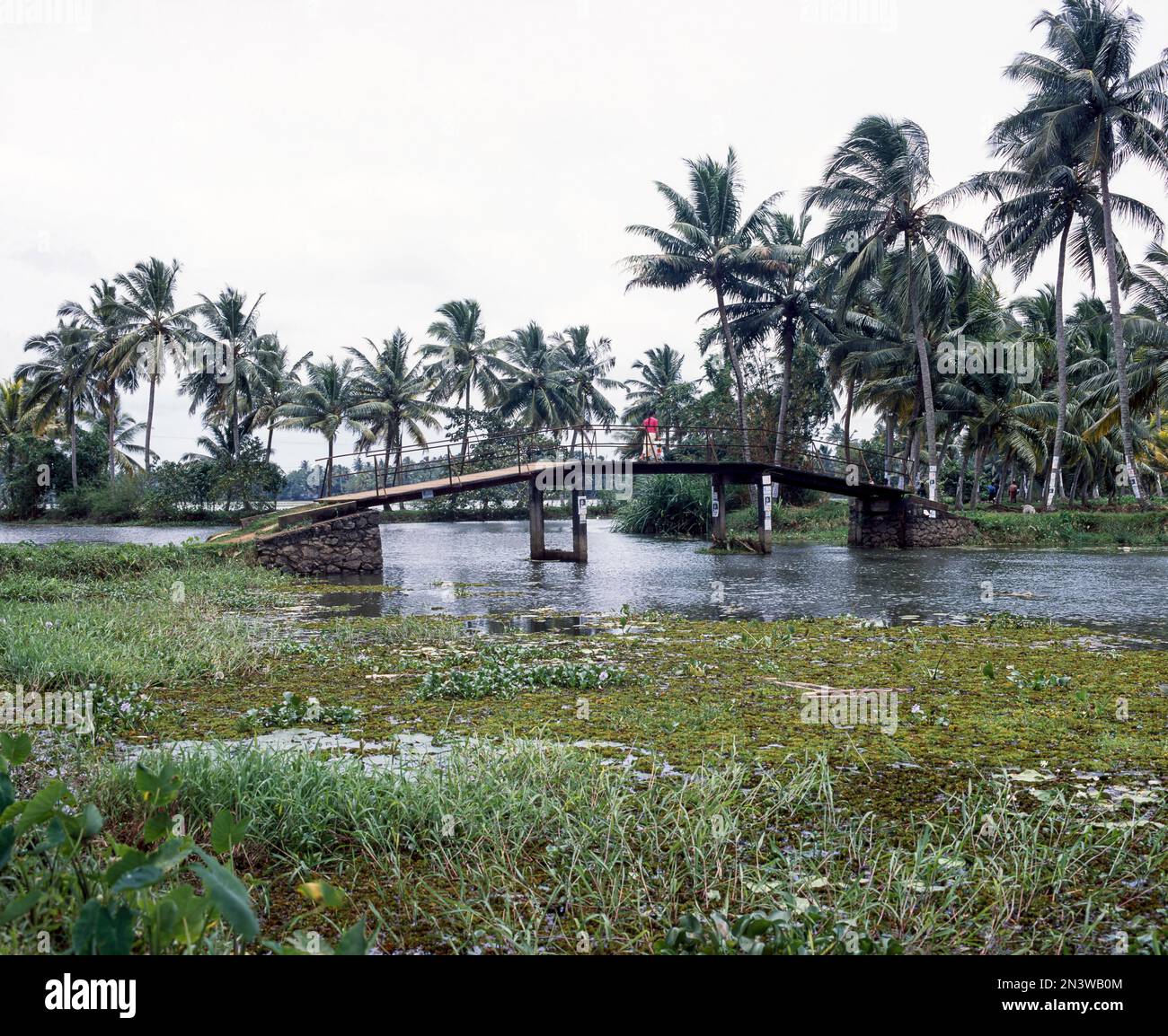 Hinterwäldler von Kerala, Indien, Asien Stockfoto