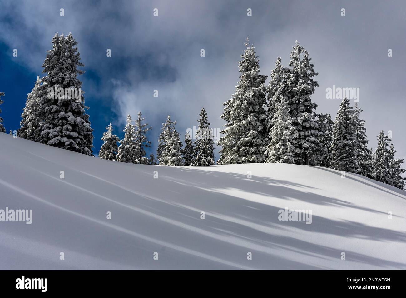 Schneebedeckte Berglandschaft mit Bäumen im Winter und weißblauem Himmel, Rangiswanger Horn, Sonthofen, Oberallgaeu, Bayern, Deutschland Stockfoto