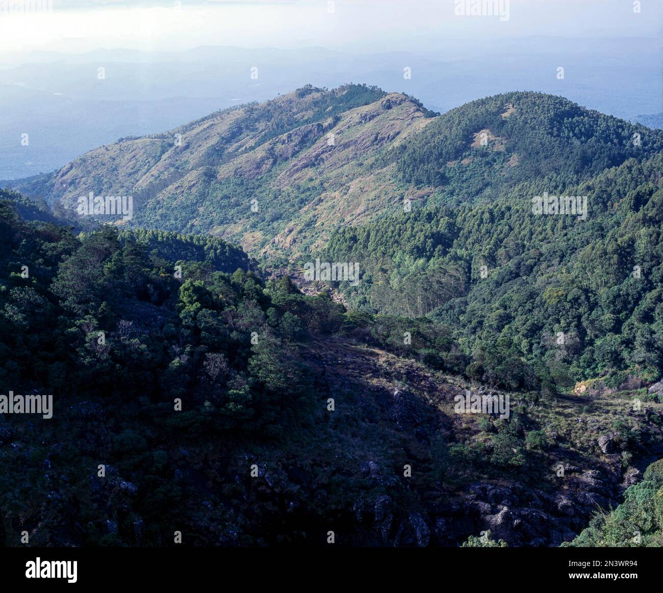 Ein Blick auf die Hügellandschaft in Nilgiris, Tamil Nadu, Indien, Asien Stockfoto