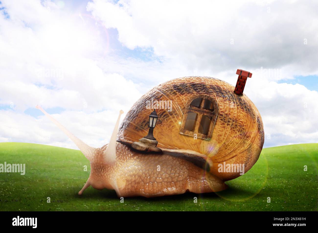 Fantasiewelt. Magische Schnecke mit Muschelhaus, die sich auf einer grünen Wiese bewegt Stockfoto