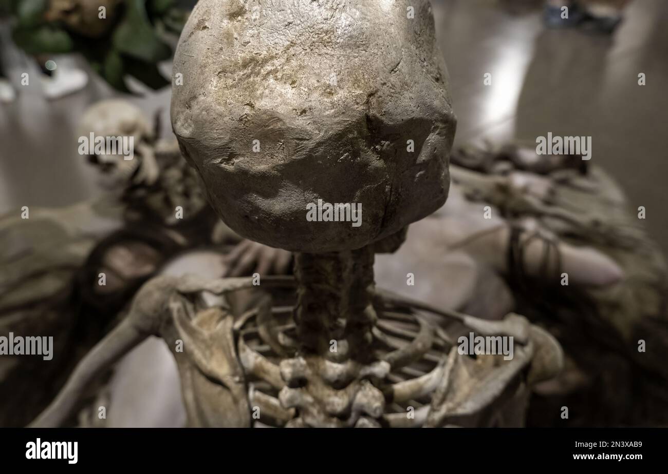 Detaildarstellung menschlicher Gliedmaßen, Anatomie und moderne Kunst Stockfoto