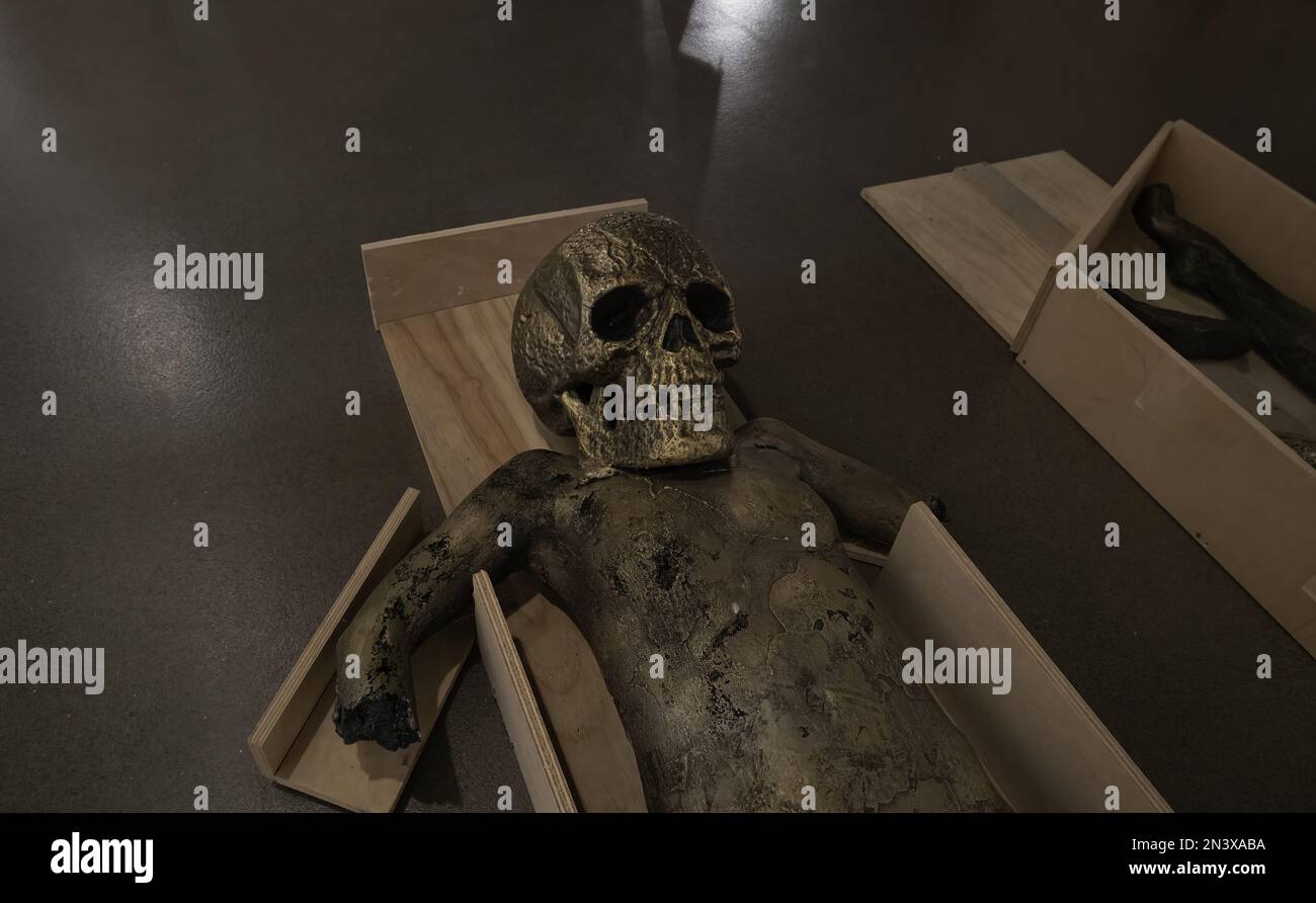 Detaildarstellung menschlicher Gliedmaßen, Anatomie und moderne Kunst Stockfoto