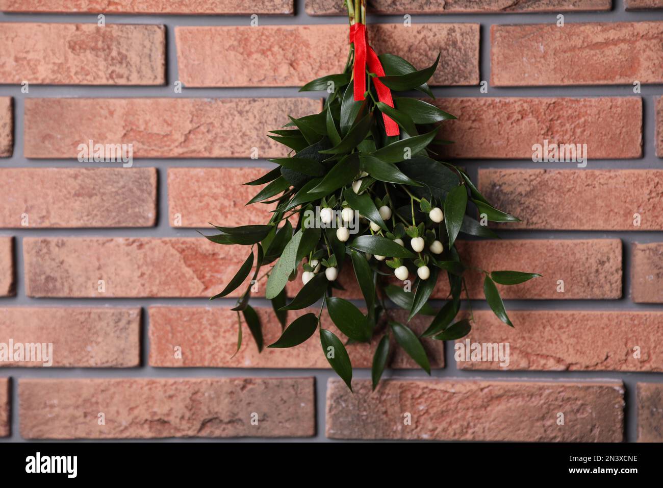 Mistelzweige mit rotem Band, das an einer Ziegelwand hängt. Traditionelle Weihnachtsdekor Stockfoto