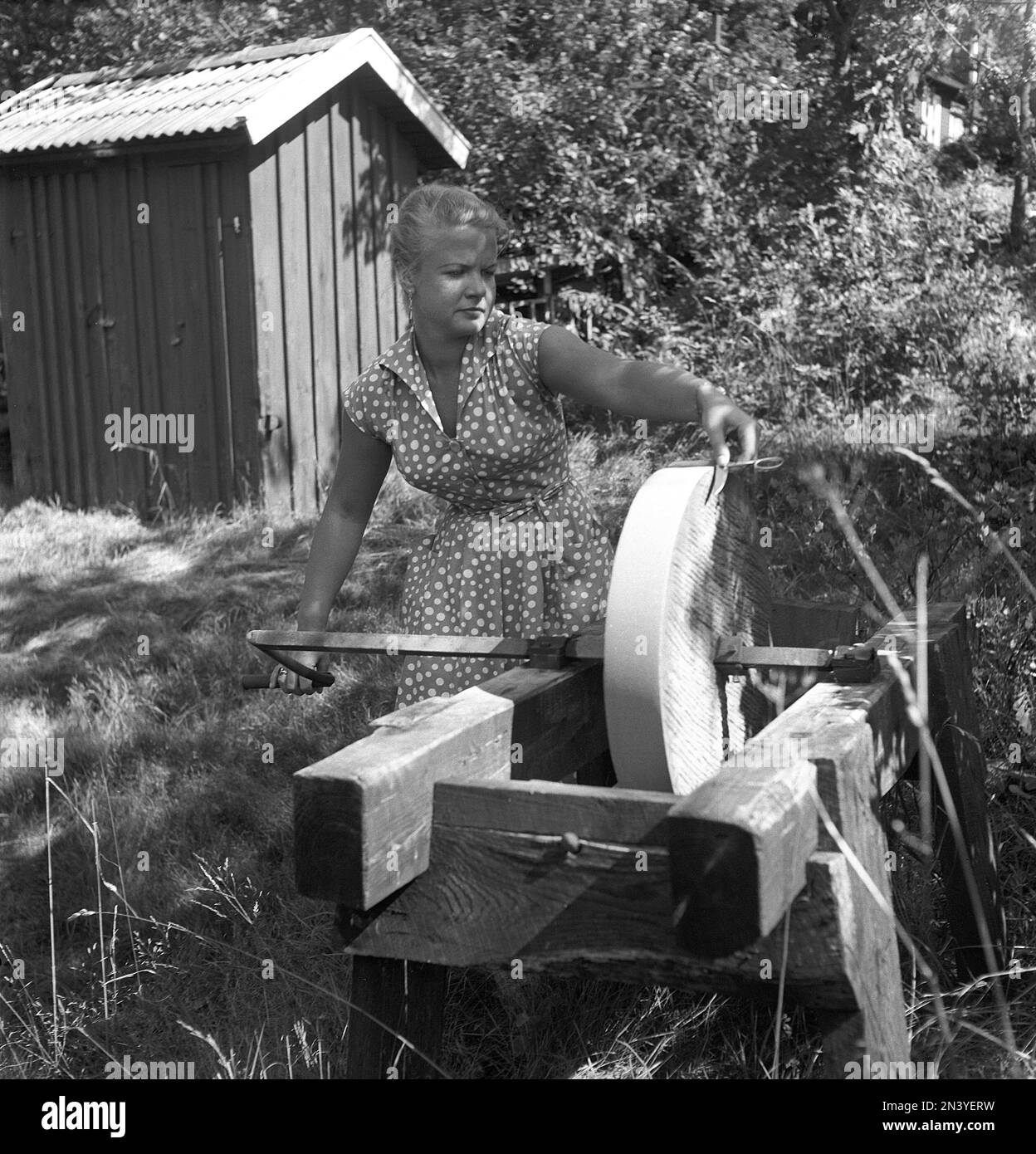 Scheren schärfen im 1950er. Eine Frau in ihrem Garten, die eine Schere auf einem Schleifstein schärft. Dieser Schleifstein wurde durch Drehen eines Hebels an der Achse gedreht und bewegt. Schweden 1958 Kristoffersson Ref CA54-7 Stockfoto