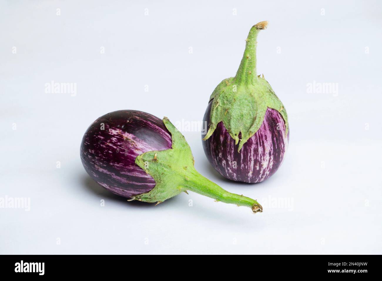 Auberginen-Aubergine oder Brinjal-Gemüse mit weißem Hintergrund, Satara, Maharashtra, Indien Stockfoto