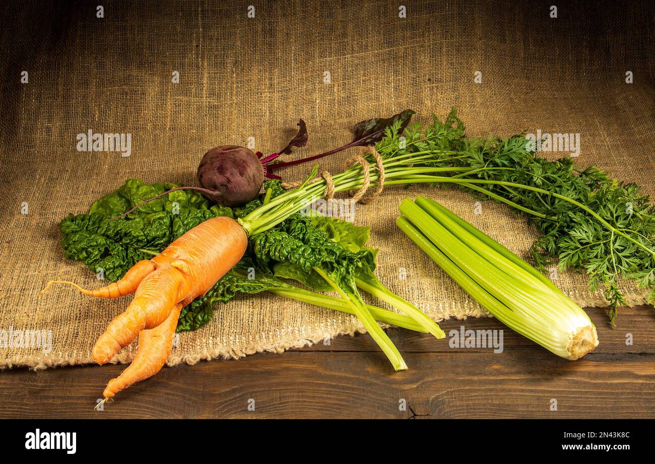 Stillleben in rustikalem Stil mit Bio-Gemüse - Karotten, Rüben und Sellerie. Stockfoto