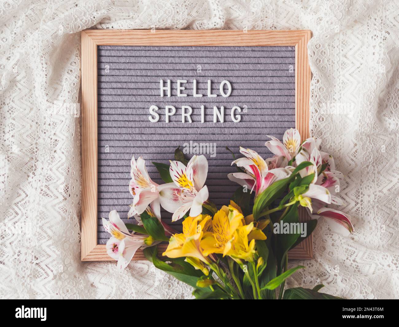 Brieftafel mit Saisongruß HELLO SPRING on Laces weißer Textilhintergrund mit frischen Alstroemeria-Blumen. Stockfoto