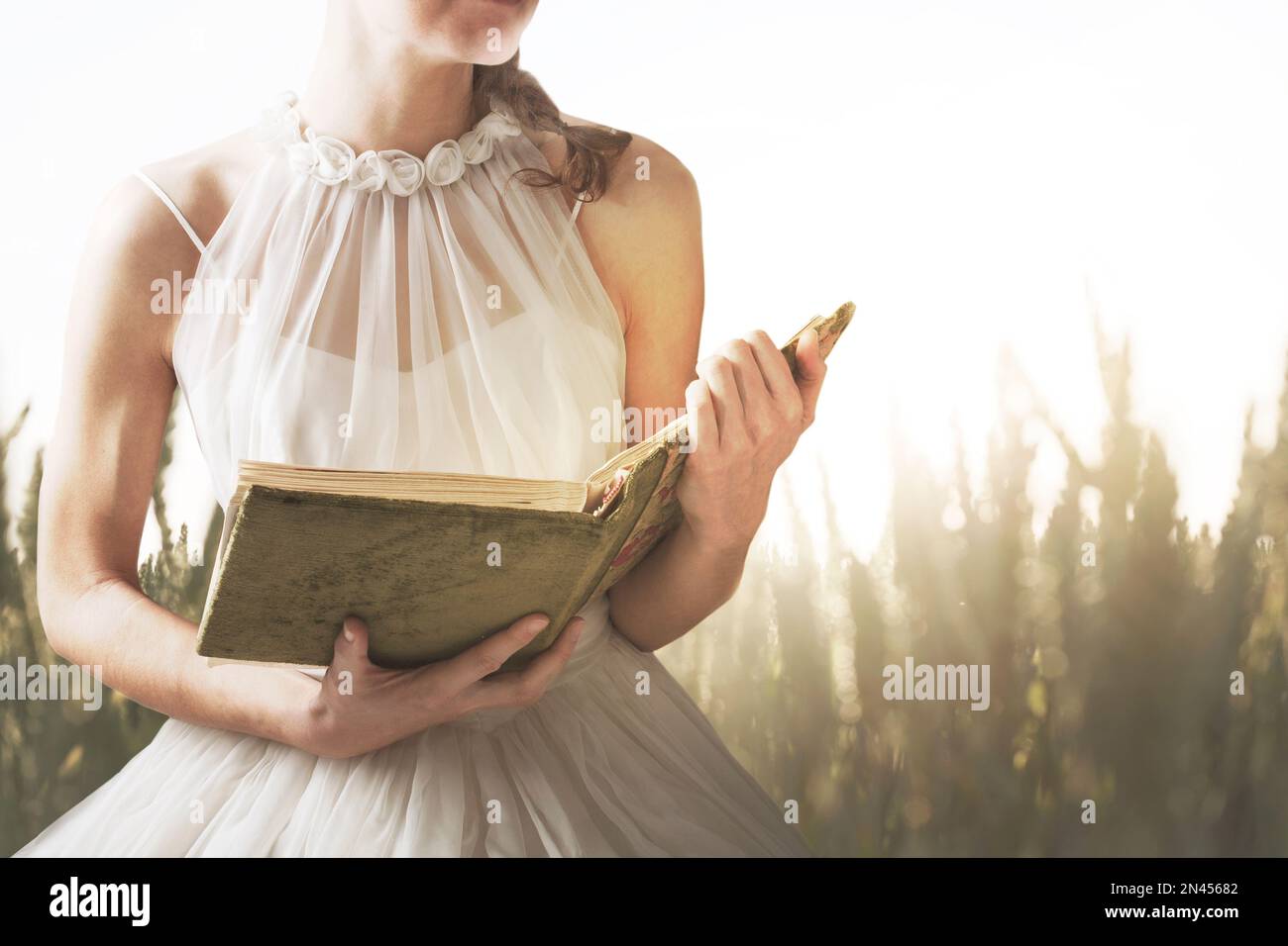 Frau, die ein Buch auf der Wiese liest, inmitten der Natur, Wissenskonzept Stockfoto