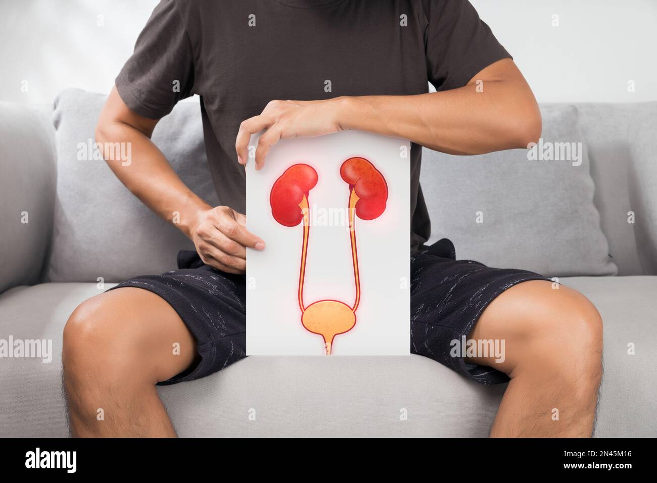 Ein Mann, der ein weißes Papier mit Bildern von Harnröhre und Nieren hält. Stockfoto