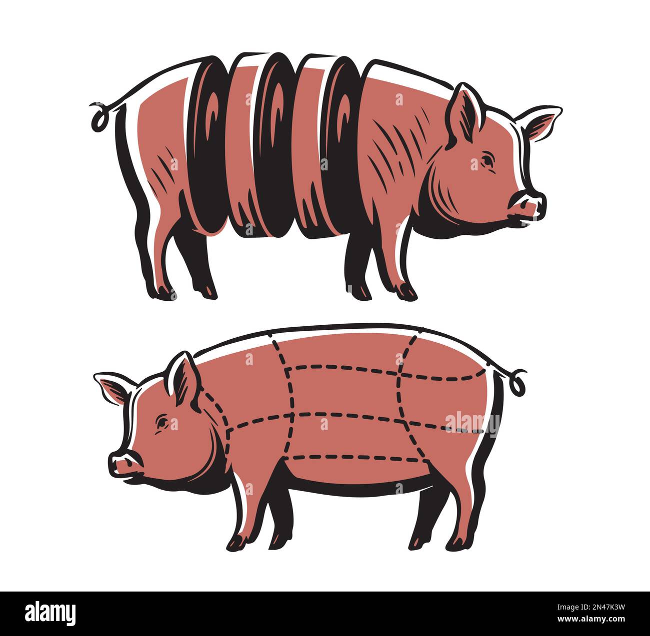 Schwein, Schweinefleisch, Schema. Metzgerei-Symbol mit Schweinefleischteilen. Klassisches Fleischdiagramm. Vektordarstellung Stock Vektor