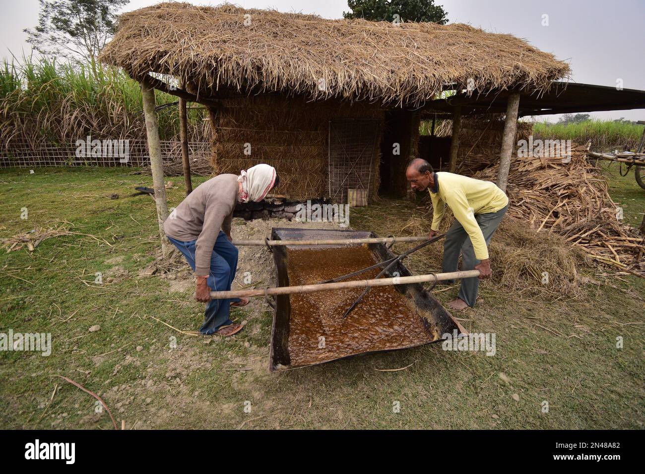 Nagaon. 8. Februar 2023. Die Bauern machen nach der Zuckerrohrernte auf dem Feld im Bezirk Nagaon im nordöstlichen Bundesstaat Assam, 8. Februar 2023, Zauberei. Kredit: Str/Xinhua/Alamy Live News Stockfoto