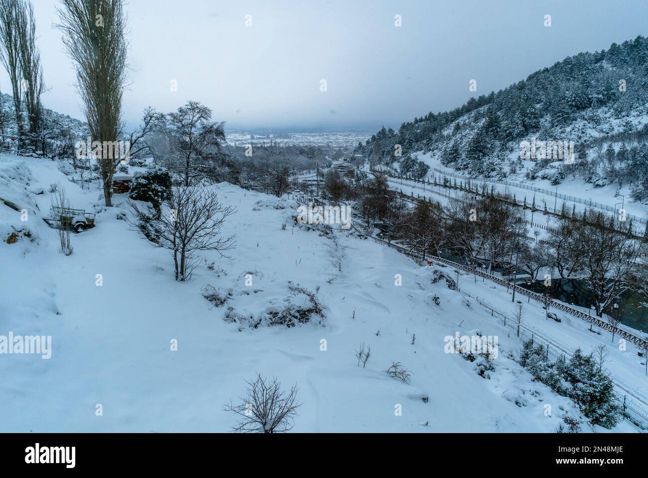 Schnee Winter Stadtpark weißer Hintergrund Schneesturm Frost. Verschneiter, kalter Tag, Frostwettersaison. Foto der Konzeptidee. Hohe Full hd-Fotoqualität. Eis Stockfoto