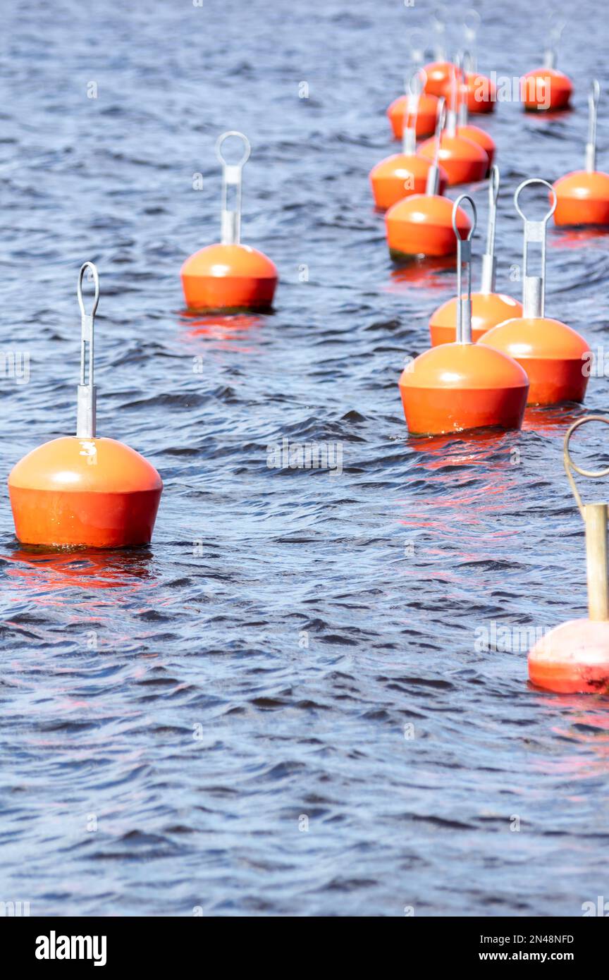 Viele rote Bojen schwimmen im Wasser Stockfoto