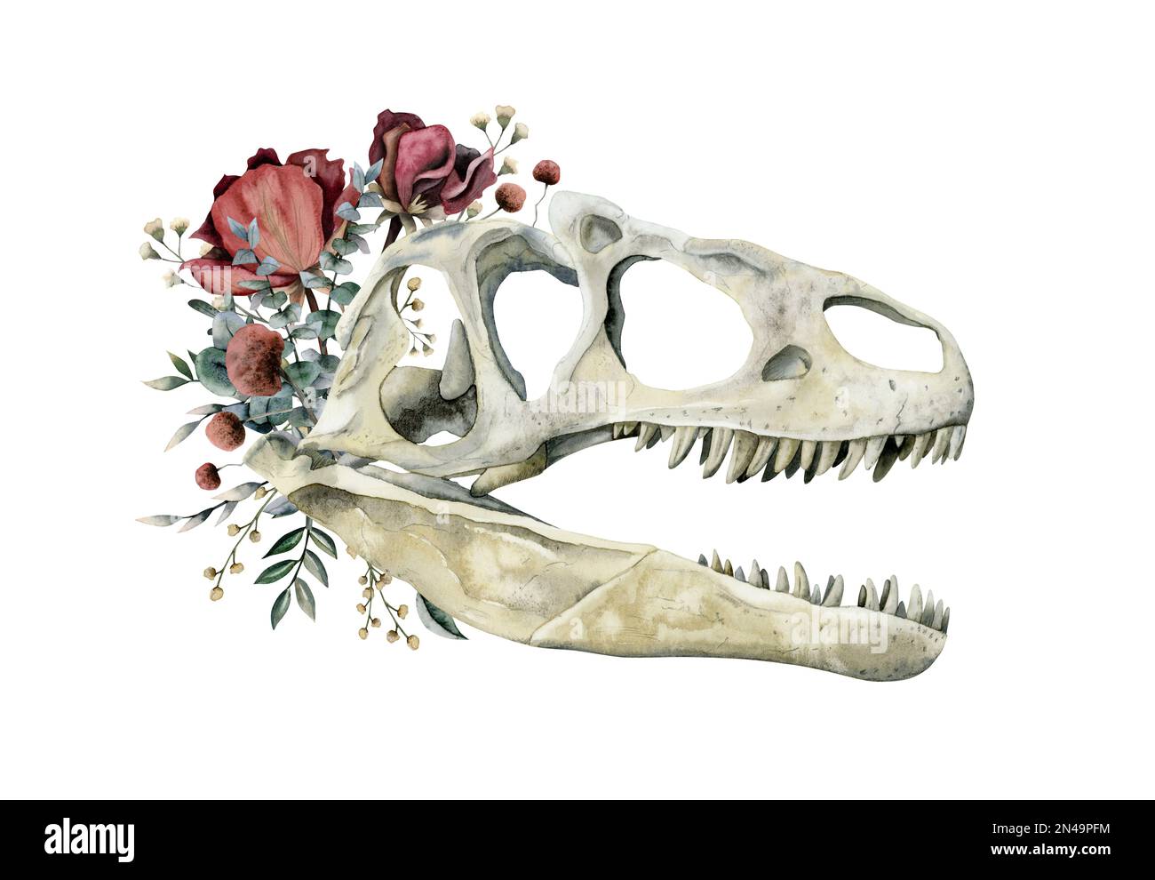 Fleischfressender Dinosaurierschädel mit roten Rosen, Feldblumen und Eukalyptus-Aquarell-Illustration isoliert auf weißem Hintergrund Stockfoto