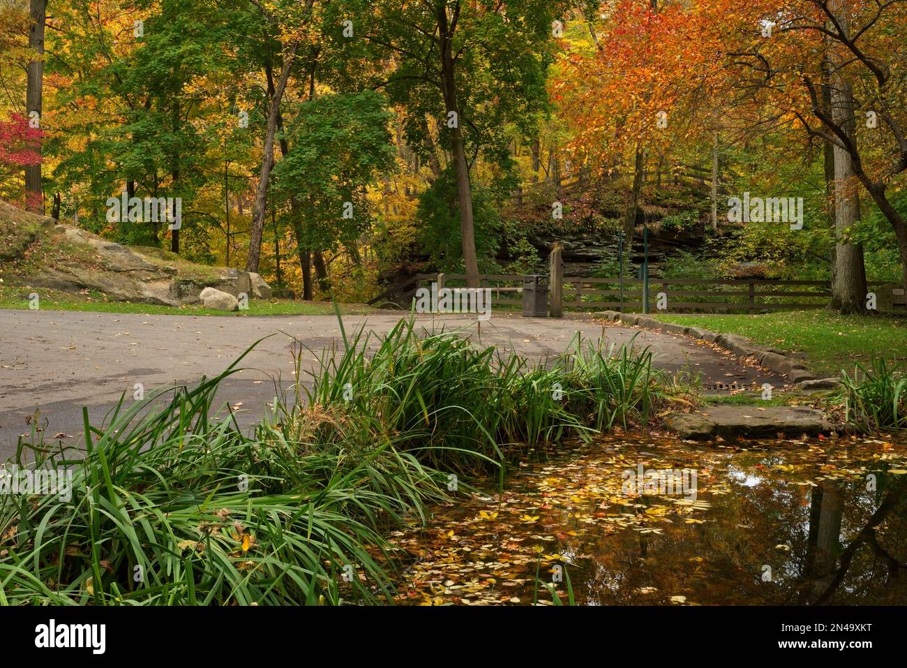 Herbstfarben in einem Ohio-Park mit einem Blattteich in der Nähe des Eingangs Stockfoto