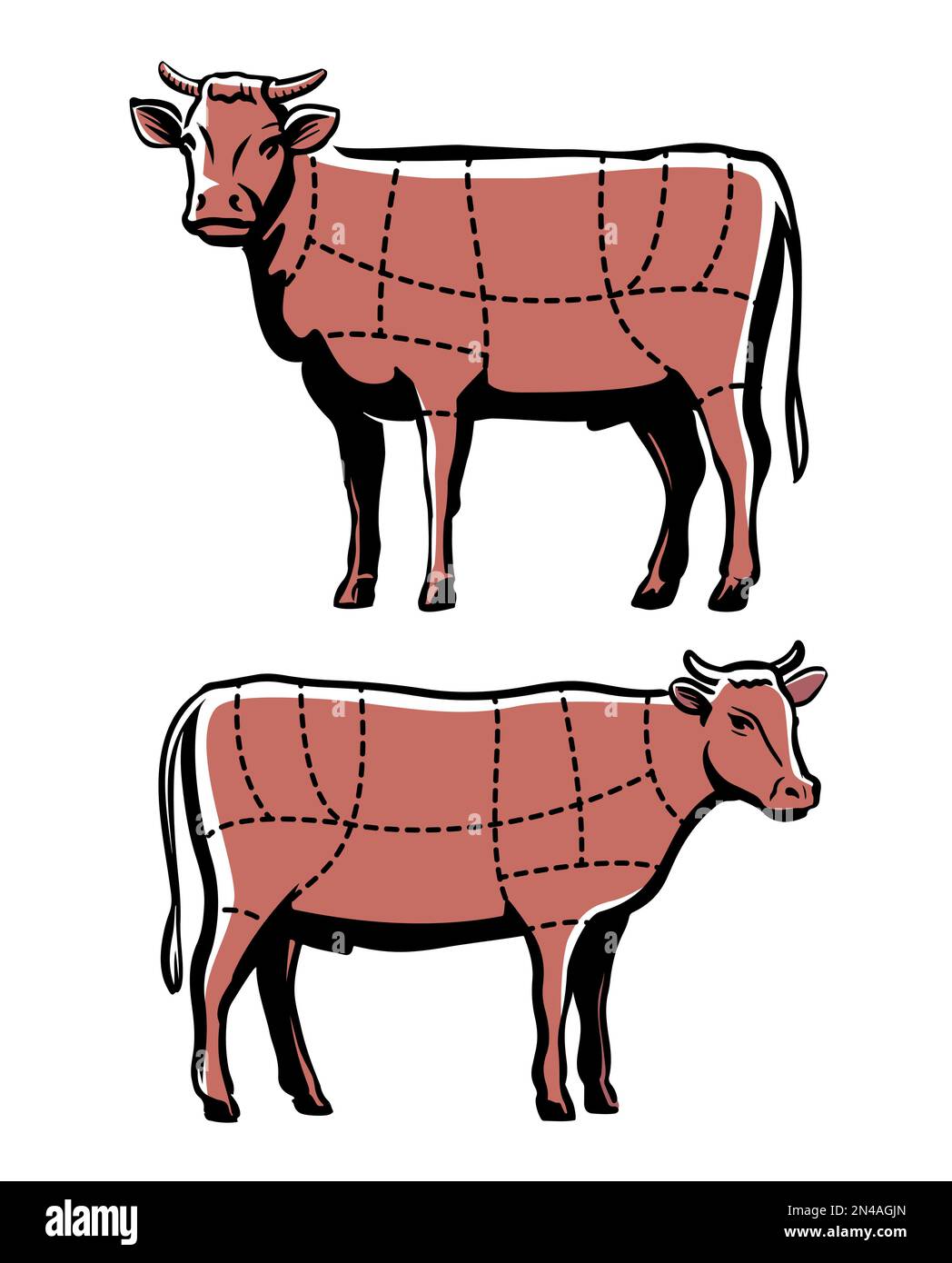 Tabelle mit Rindfleischschnitten. Schnittdiagramm für Kuhfleisch für Speisekarte im Restaurant oder Metzgerei. Landtiervektordarstellung Stock Vektor