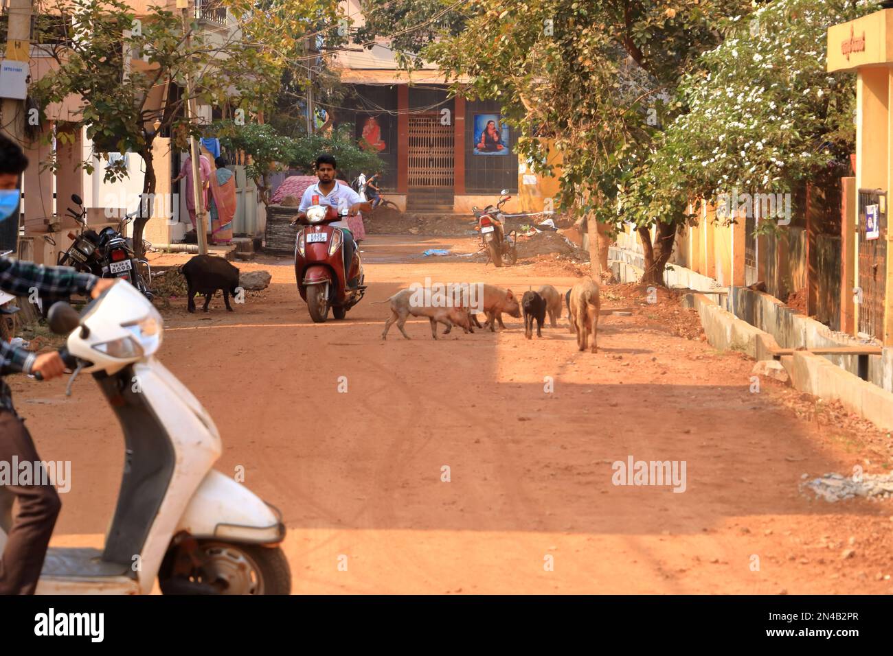 Dezember 17 2022 - Bidar, Karnataka in Indien: Straßenleben in einer kleineren Stadt in Zentralindien Stockfoto