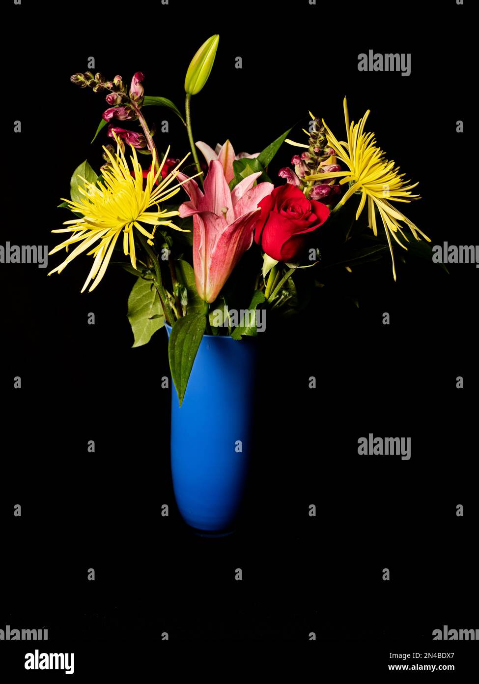 Eine blaue Blumenvase unterstreicht ein Blumenmuster auf schwarzem Hintergrund. Stockfoto