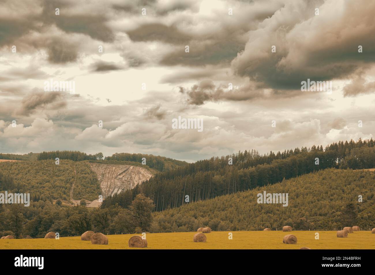 Ein Feld im Herbst mit Strohballen. wolkiger grauer Himmel Stockfoto