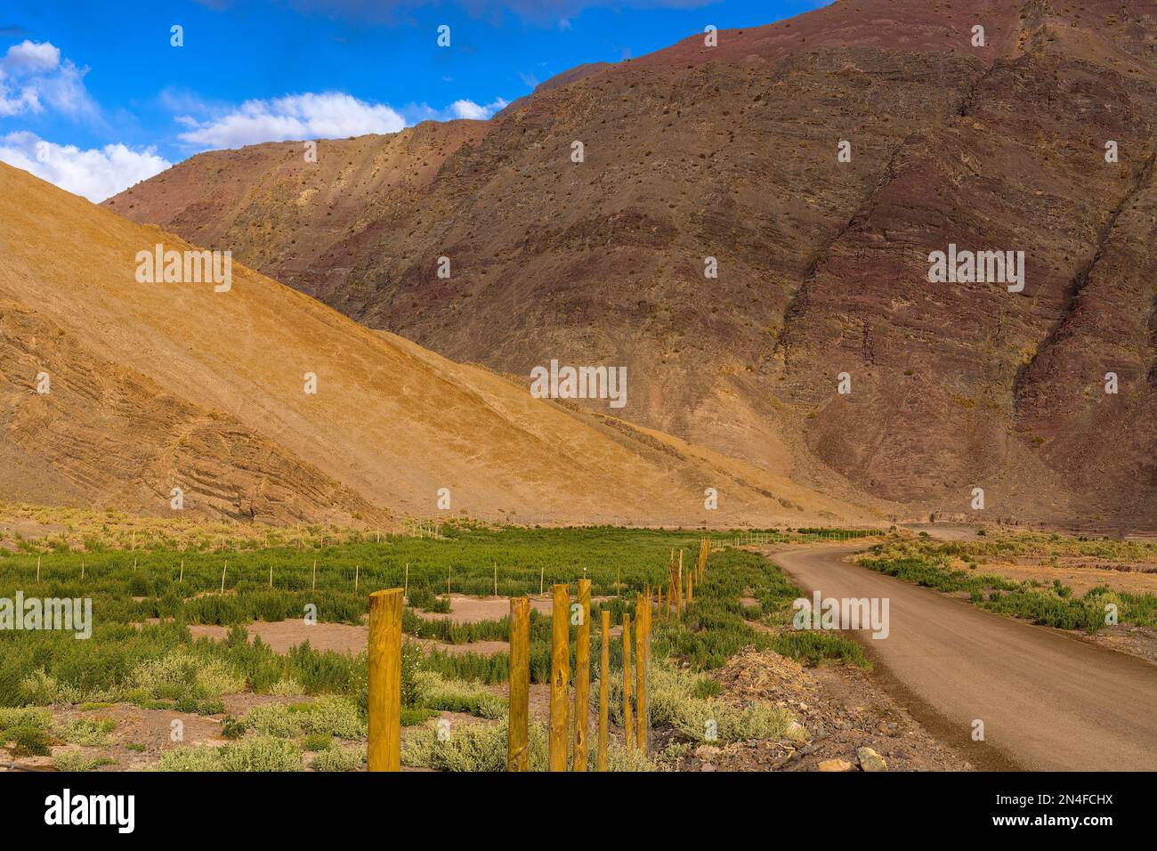 Farm in Quebrada Paredones im Norden Chiles. Stockfoto