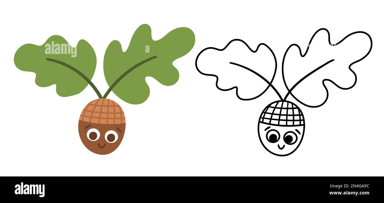 Vektor-Kawaii-Eichel mit Eichenblättern in Farbe und Schwarz-Weiß-Darstellung. Flacher Herbstlook. Lustiger Fall oder einsamer Wald Stock Vektor