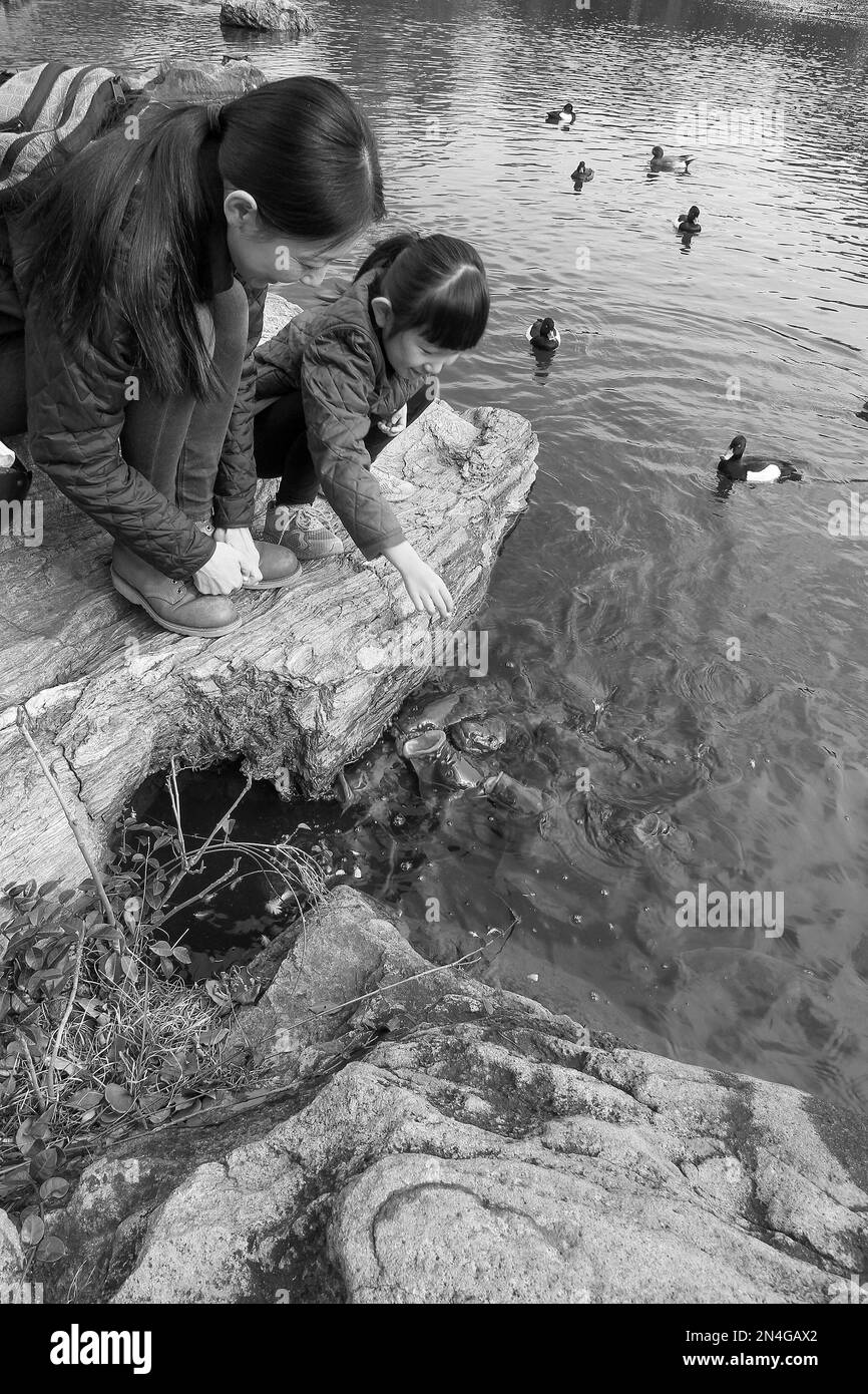 Mutter und Tochter füttern Koi-Karpfen-Spezialessen (kaufen Sie an der Kasse) - der Fisch öffnet seinen Mund, die Leute lächeln. Schwarzweiß. Kind nach primärer sc Stockfoto