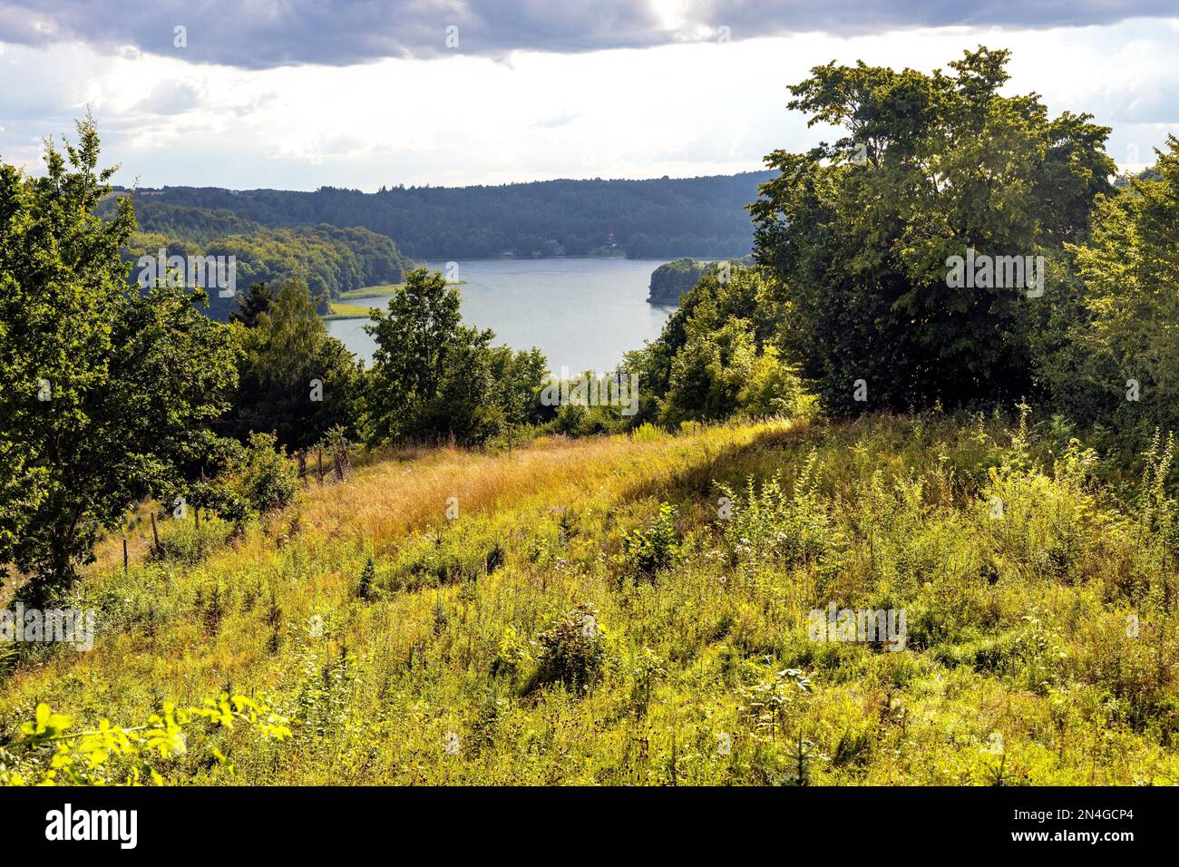 Panoramablick auf den See Jezioro Ostrzyckie mit Waldufer vom Jastrzebia Gora Hawk Mountain in Ostrzyce Dorf Kaschubia in Pommern r Stockfoto