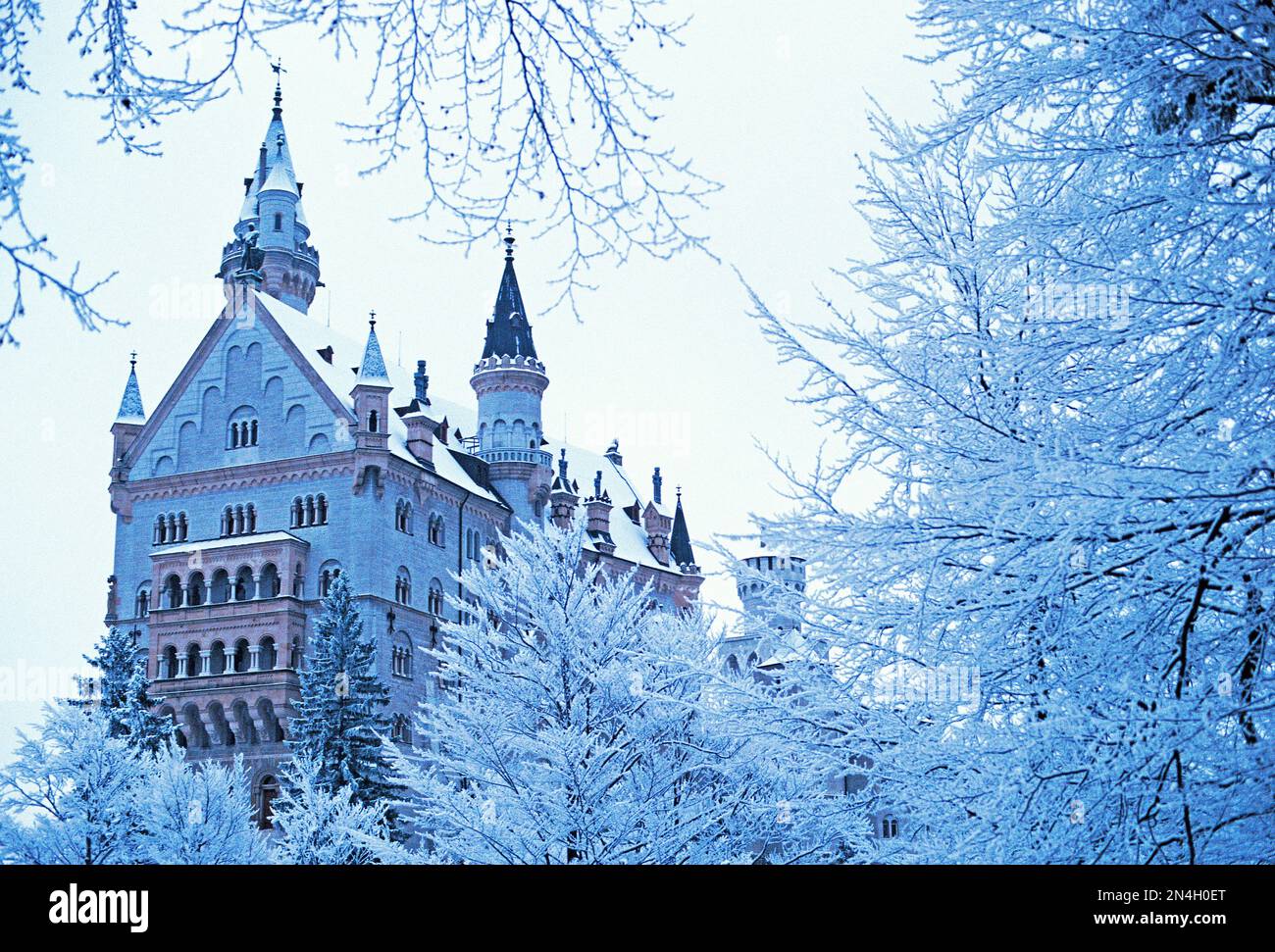 Deutschland. Bayern. Schloss Neuschwanstein im Schnee. Stockfoto