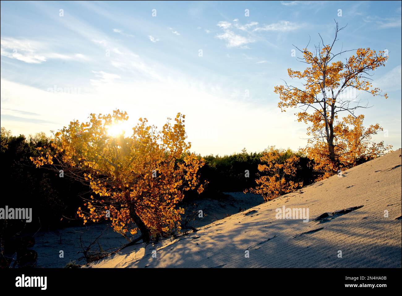 Sonnenuntergang mit Sonnenstrahl durch den kostenlosen Sanddünen-Park Stockfoto