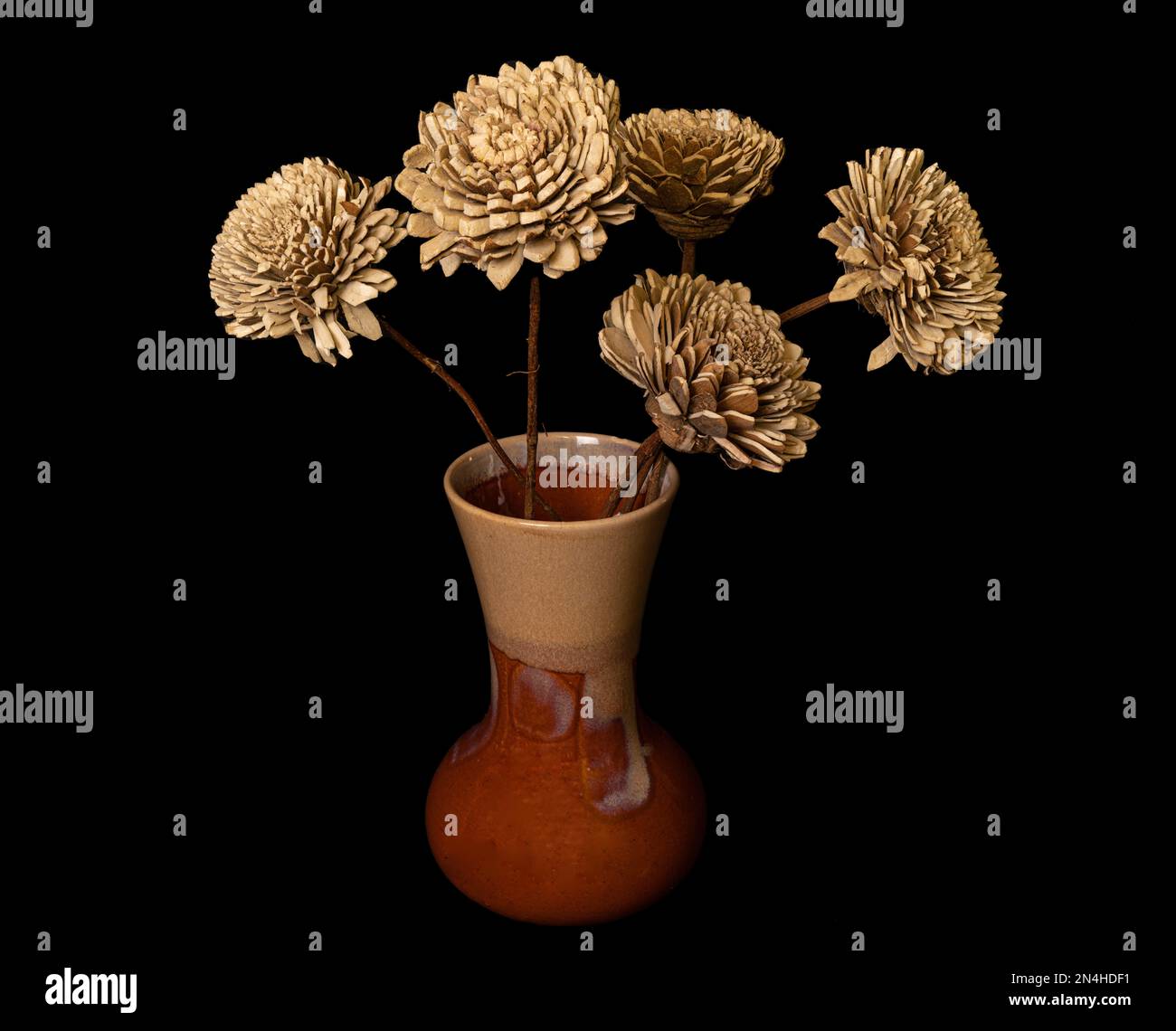 Getrocknete Pflanzen Stockfoto