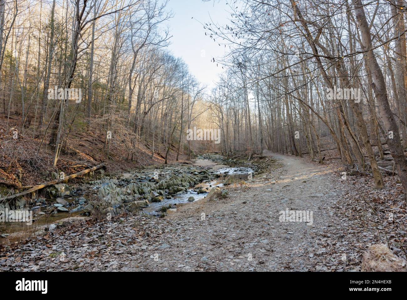 Wanderweg im Scott's Run Nature Preserve Stockfoto